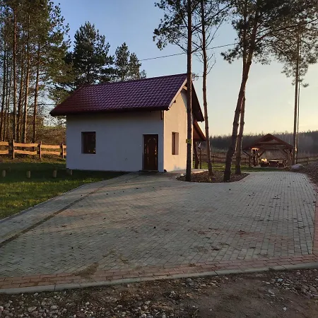 Domek Pod Sosnami Gaj  Exterior photo